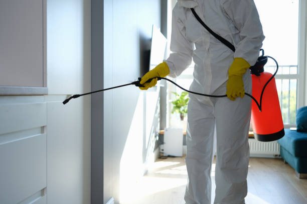 Best Mold Remediation for Specific Building Types in Robert Lee, TX