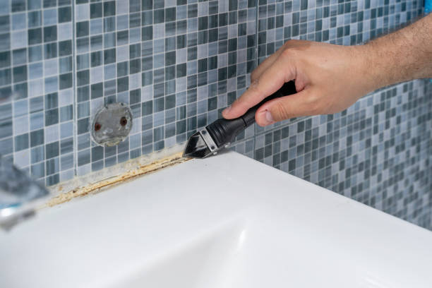Best Preventive Mold Services in Robert Lee, TX